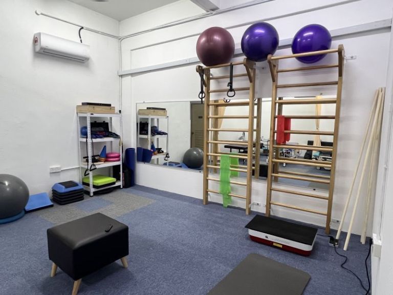 EaseSpine Physiotherapy & Acupuncture(formerly EaseScoliosis) 乐心物理治疗与中医