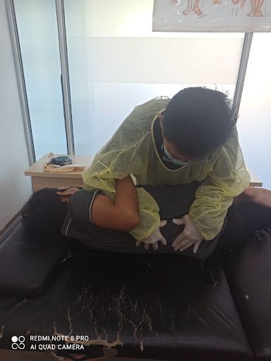 LMZ chiropractic and meridian therapy